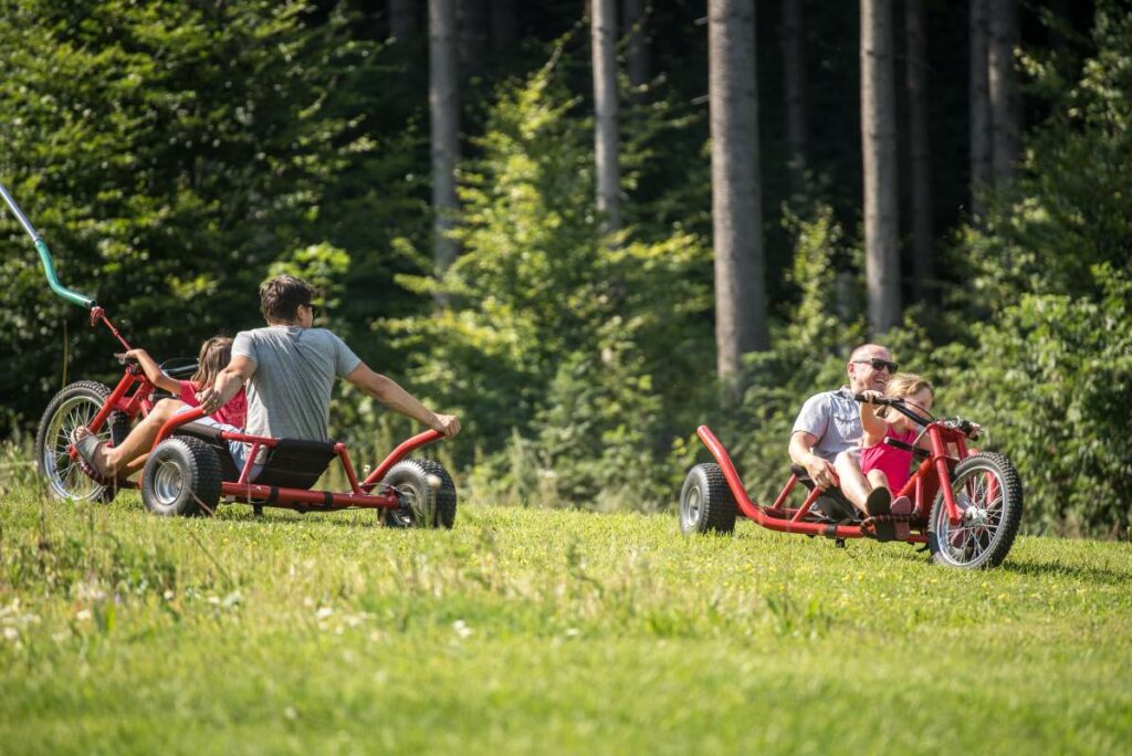 downhill on a tricycle - Apartments za Bukem